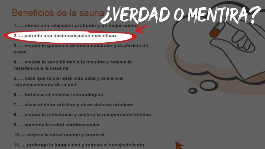 La sudoración en la sauna elimina toxinas: ¿verdad o solo un mito?